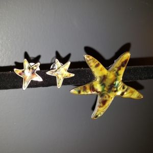 Broach and earrings set